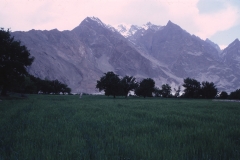 Shigar - Kashmir - 1983 - Foto: Ole Holbech