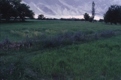 Shigar - Kashmir - 1983 - Foto: Ole Holbech