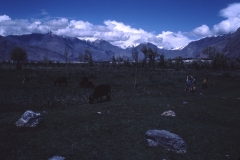 Skardu - Kashmir - 1983 - Foto: Ole Holbech