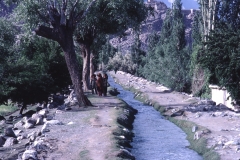 Skardu - Kashmir - 1983 - Foto: Ole Holbech