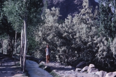 Skardu - Kashmir - 1983 - Foto: Ole Holbech