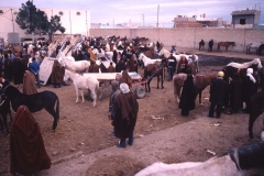 Sousse - Tunesia - 1985 - Foto: Ole Holbech