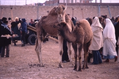 Sousse - Tunesia - 1985 - Foto: Ole Holbech