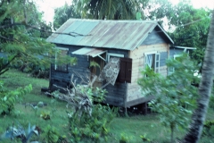 St. George´s - Grenada - 1981 - Foto: Ole Holbech