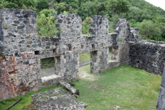 Annaberg Sugar Mill Ruins - Saint John -  Sankt Jan -  US Virgin Islands - 2017 - Foto: Ole Holbech