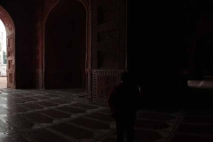 Taj Mahal - Agra - Uttar Pradesh - India - 2018 - Foto: Ole Holbech