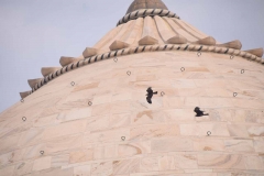 Taj Mahal - Agra - Uttar Pradesh - India - 2018 - Foto: Ole Holbech