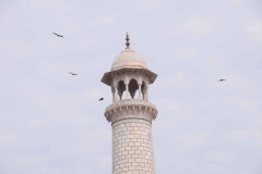 Taj Mahal - Agra - Uttar Pradesh - India - 2018 - Foto: Ole Holbech