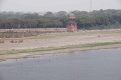 Taj Mahal - Agra - Uttar Pradesh - India - 2018 - Foto: Ole Holbech