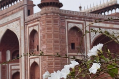 Taj Mahal - Agra - Uttar Pradesh - India - 2018 - Foto: Ole Holbech