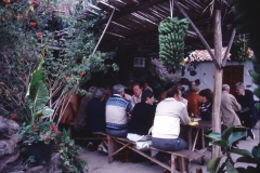 Tenerife - Spain - 1983 - Foto: Ole Holbech