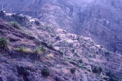 Tenerife - Spain - 1983 - Foto: Ole Holbech