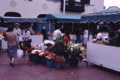 Tenerife - Spain - 1983 - Foto: Ole Holbech