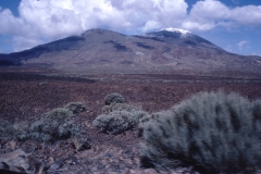 Tenerife - Spain - 1983 - Foto: Ole Holbech