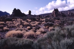 Tenerife - Spain - 1983 - Foto: Ole Holbech