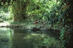 Trinidad and Tobago - 1981 - Foto: Ole Holbech