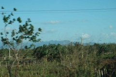 Trinidad - Cuba - 2006 - Foto: Ole Holbech