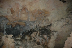 Cuevas de Bellamar - Cuba - 2006 - Foto: Ole Holbech