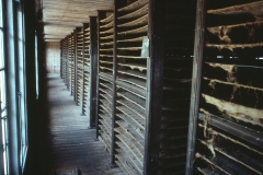 Wewessa Tea Factory - Badulla - Sri Lanka - 1983 - Foto: Ole Holbech