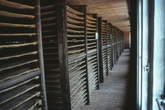 Wewessa Tea Factory - Badulla - Sri Lanka - 1983 - Foto: Ole Holbech