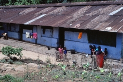 Wewessa Tea Factory - Badulla - Sri Lanka - 1983 - Foto: Ole Holbech