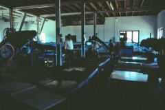 Wewessa Tea Factory - Badulla - Sri Lanka - 1983 - Foto: Ole Holbech