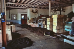 Wewessa Tea Factory - Badulla - Sri Lanka - 1983 - Foto: Ole Holbech