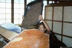 Wewessa Tea Factory - Badulla - Sri Lanka - 1983 - Foto: Ole Holbech