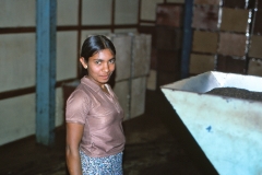 Wewessa Tea Factory - Badulla - Sri Lanka - 1983 - Foto: Ole Holbech