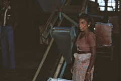 Wewessa Tea Factory - Badulla - Sri Lanka - 1983 - Foto: Ole Holbech