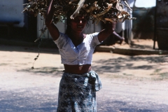 Wewessa Tea Factory - Badulla - Sri Lanka - 1983 - Foto: Ole Holbech