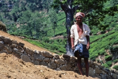 Wewessa Tea Factory - Badulla - Sri Lanka - 1983 - Foto: Ole Holbech