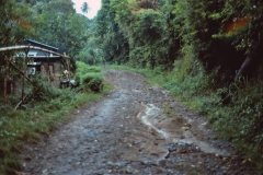 Windward - Grenada - 1981 - Foto: Ole Holbech