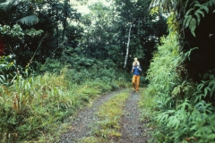 Windward - Grenada - 1981 - Foto: Ole Holbech