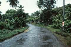 Windward - Grenada - 1981 - Foto: Ole Holbech