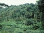 Windward - Grenada - 1981
