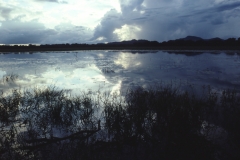 Yala National Park - Sri Lanka - 1987 - Foto: Ole Holbech