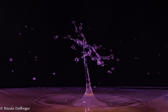 10.-Dezember-2022-_MGL5207