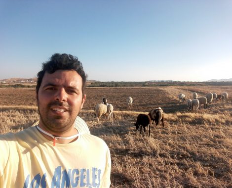Olive oil Tourism in Tunisia