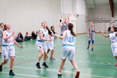 Fryshuset - Kungsholmen basket F01