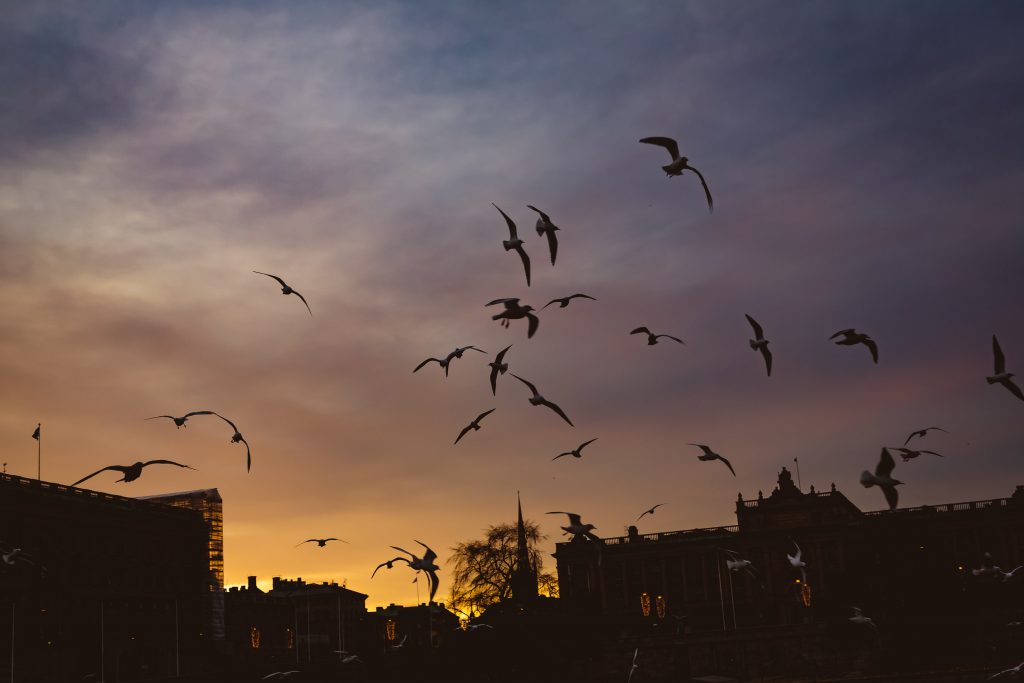 2017-01-07 - PhotoWalk - Strömbron