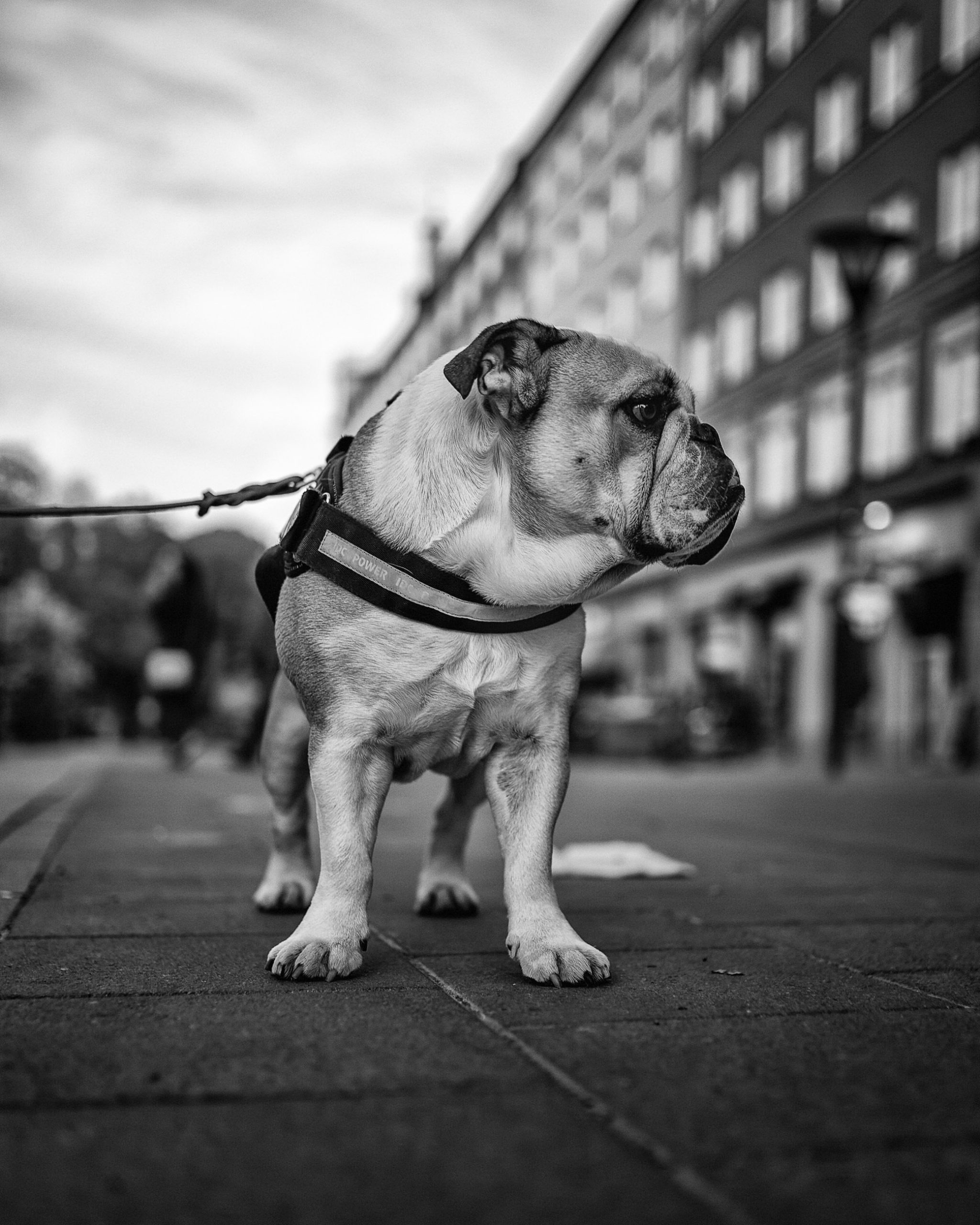 Olof Bergqvist Photography