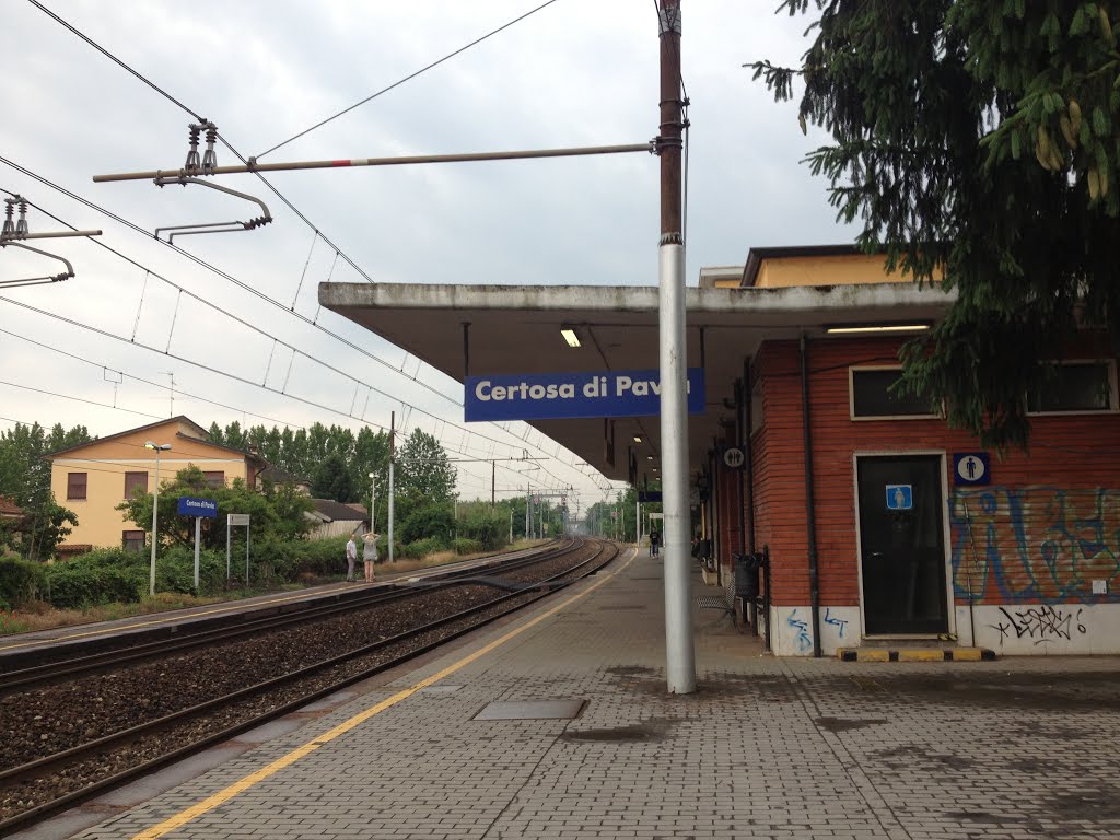 Da domani in vigore il nuovo orario ferroviario: treni per Milano sospesi e  altri limitati a Pavia dal 29 luglio all'11 settembre – oltrepolombardo