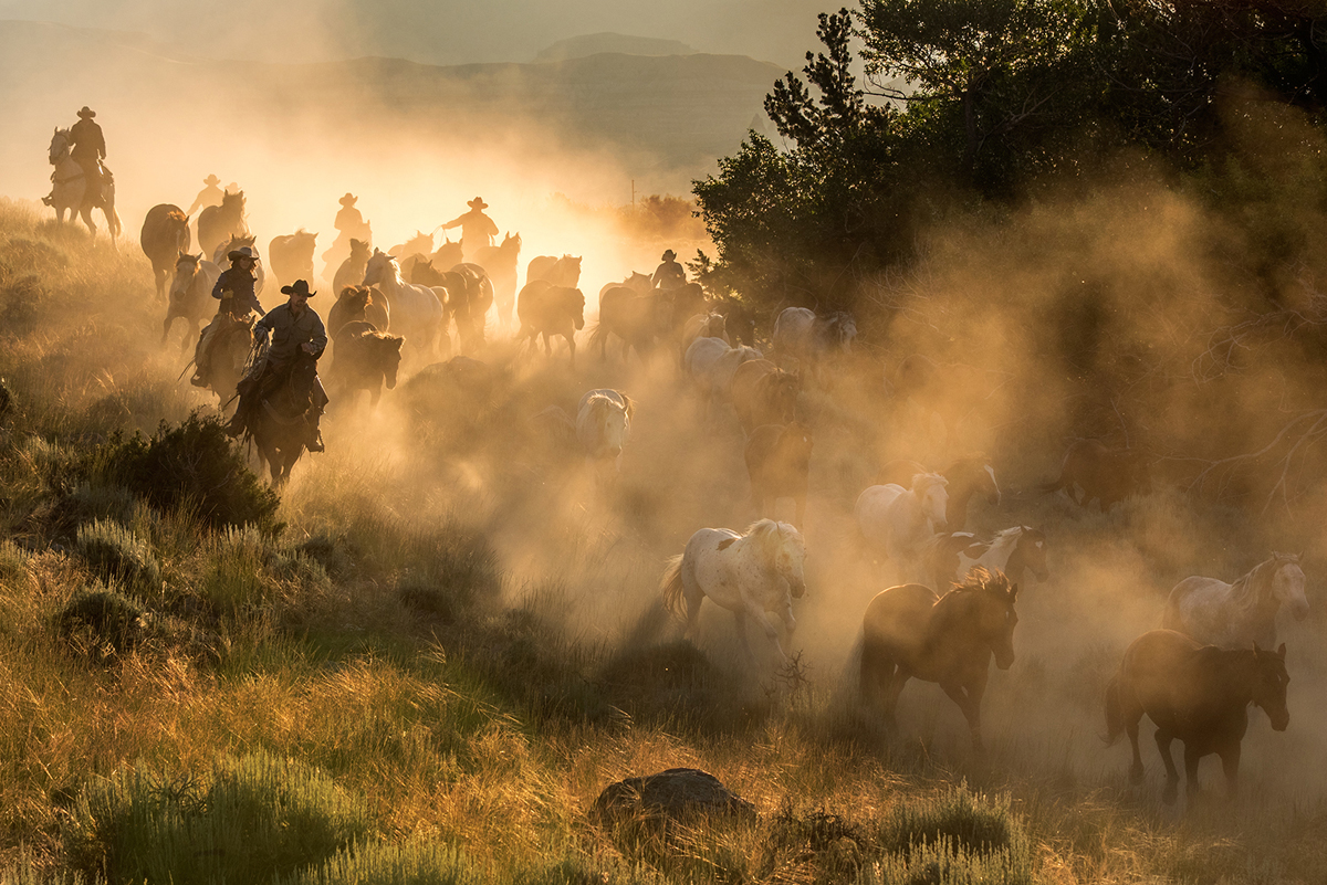 Interview with the Pulitzer-Prize winner and Olympus Visionary, Jay Dickman