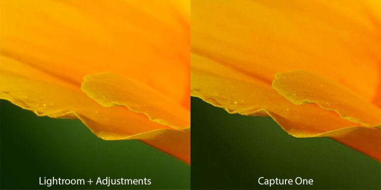 olympus viewer 3 vs lightroom