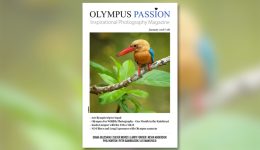 The 8th edition of the Olympus Passion Photography Magazine is now available!