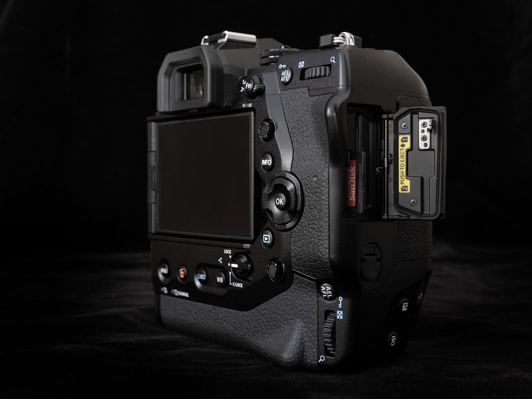 Olympus E-M1X - A Nature Photographer's Perspective - Olympus Passion