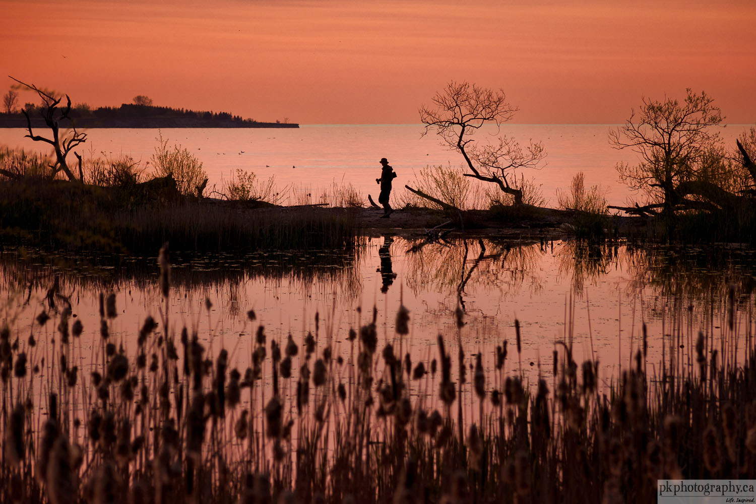 My Micro43 Photography Journey with Sigma & PanaLeica primes (and other lenses too)