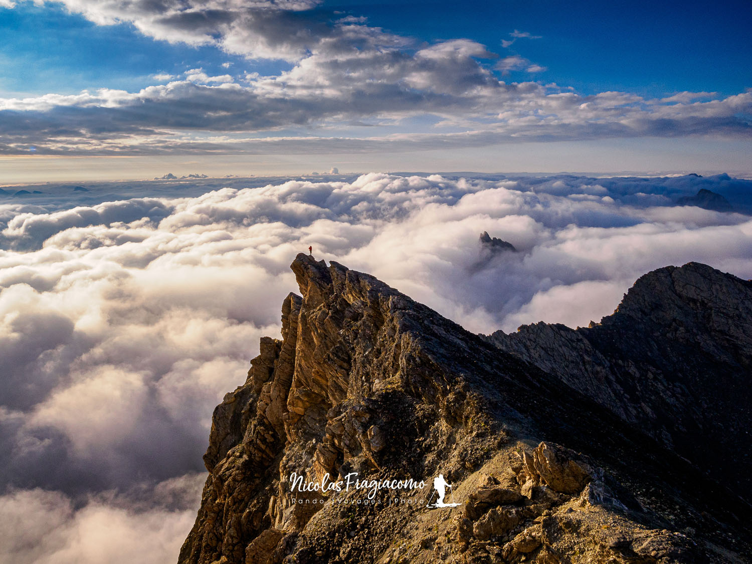Exploring the Wild – Interview with Nicolas Fragiacomo