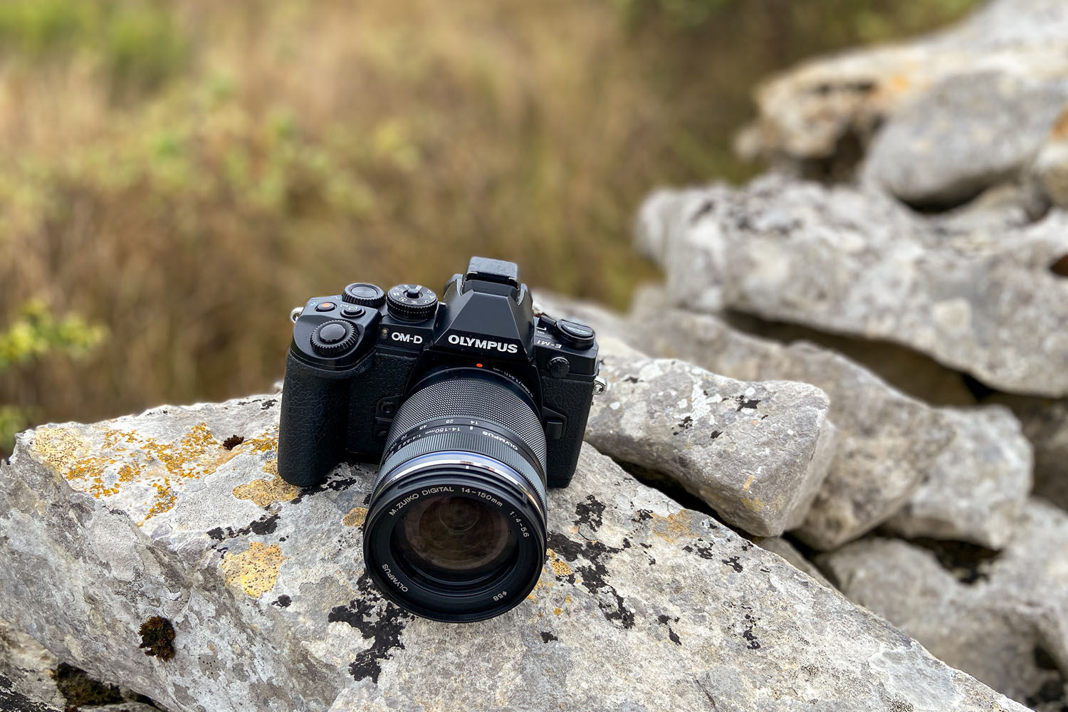Premium/ Field Notes: Sigma 56mm f1.4 DC DN Contemporary for